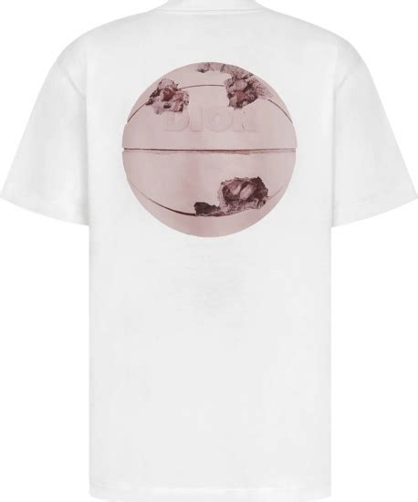 daniel arsham dior t shirt|daniel arsham Dior basketball.